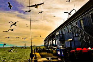 持续更新的免费DDOS攻击测试工具